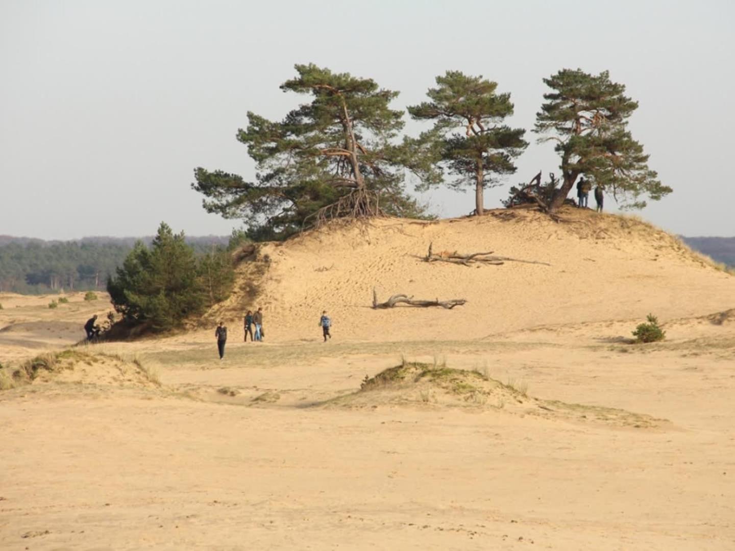 Vakantiehuis Op Rustig Bospark Veluwe Voorthuizen Εξωτερικό φωτογραφία