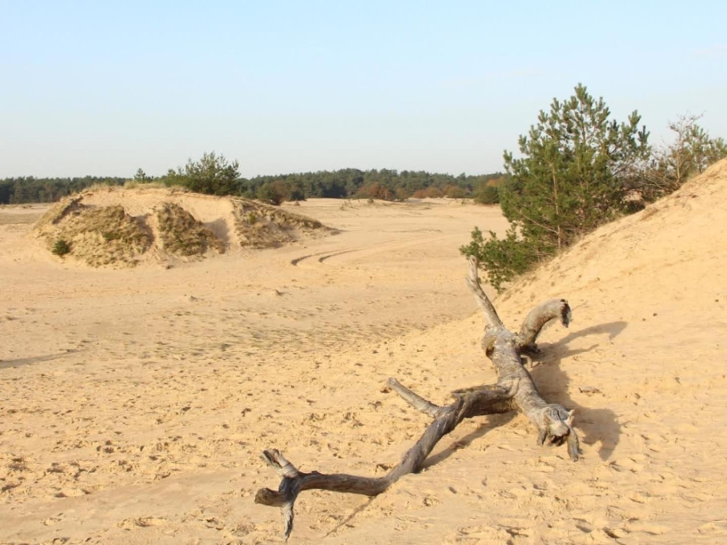 Vakantiehuis Op Rustig Bospark Veluwe Voorthuizen Εξωτερικό φωτογραφία
