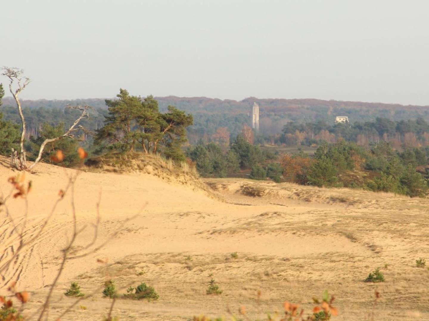 Vakantiehuis Op Rustig Bospark Veluwe Voorthuizen Εξωτερικό φωτογραφία