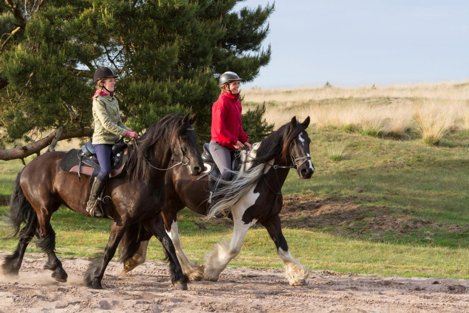 Vakantiehuis Op Rustig Bospark Veluwe Voorthuizen Εξωτερικό φωτογραφία