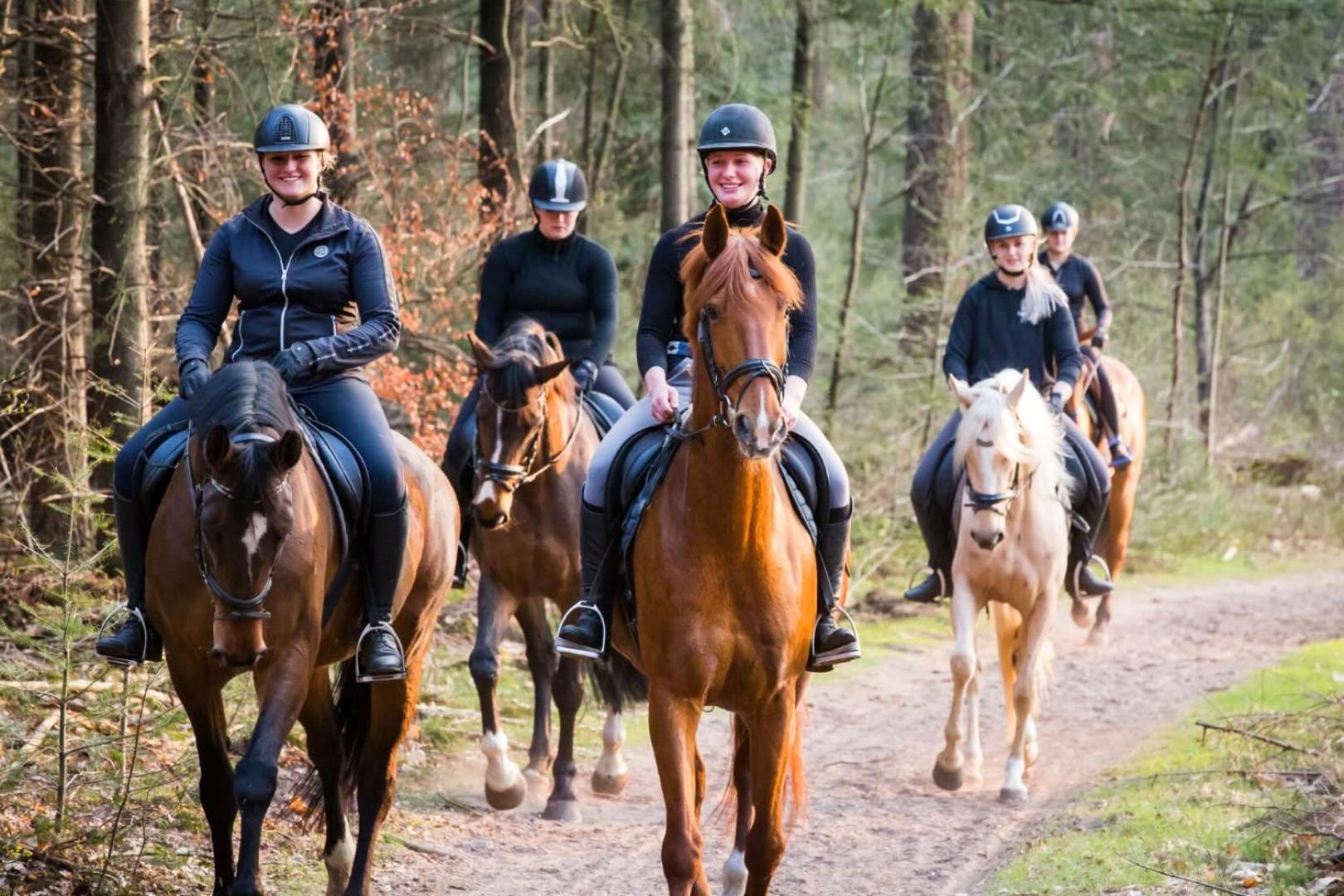 Vakantiehuis Op Rustig Bospark Veluwe Voorthuizen Εξωτερικό φωτογραφία
