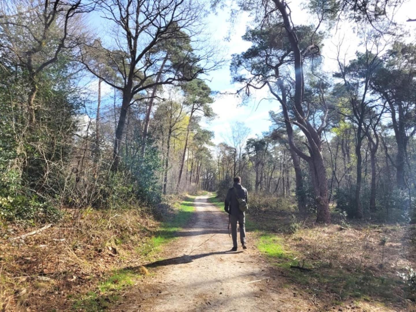 Vakantiehuis Op Rustig Bospark Veluwe Voorthuizen Εξωτερικό φωτογραφία